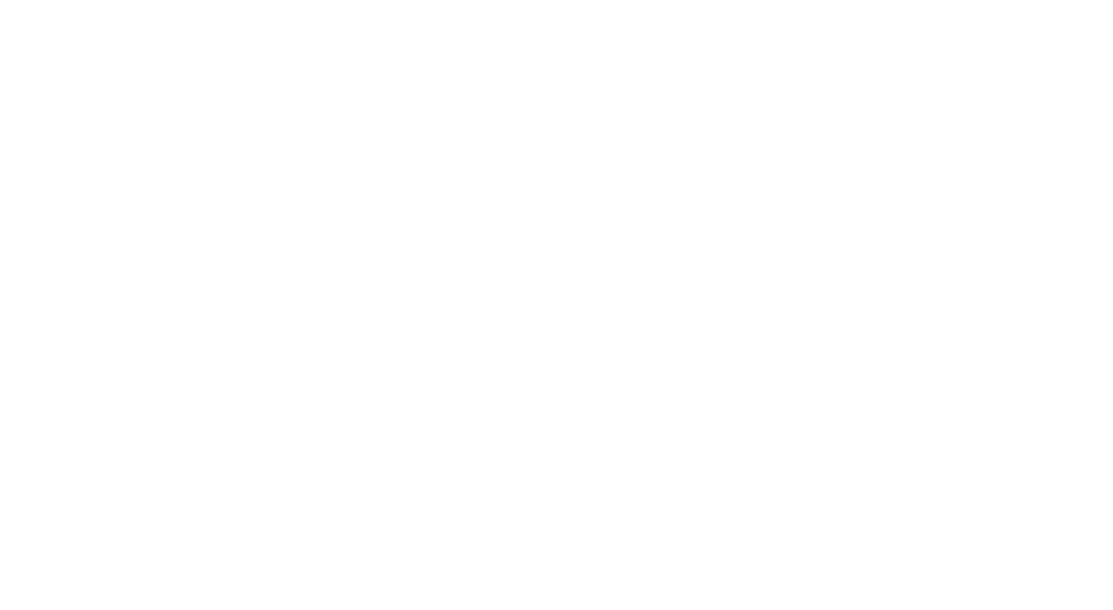 Serasa Experian